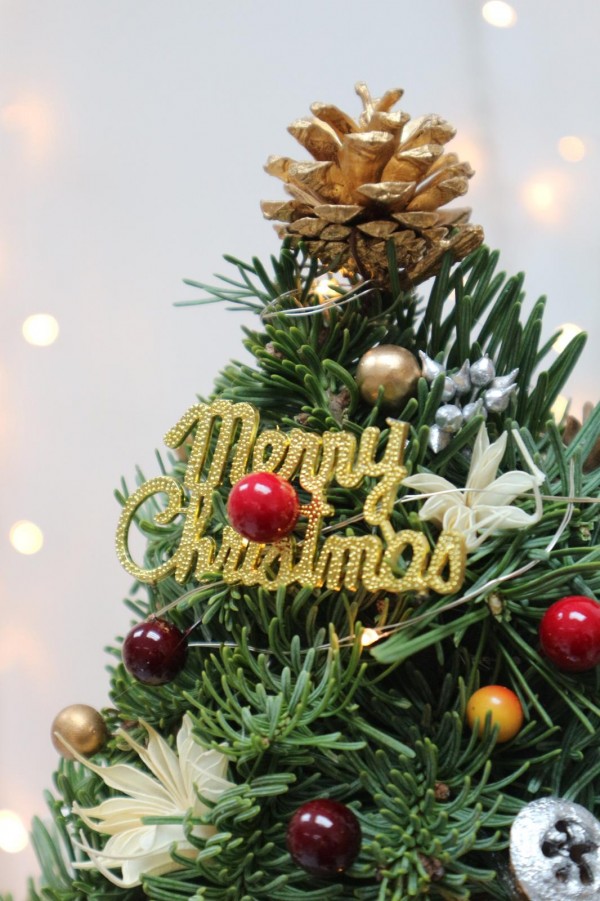 聖誕精選 | 手作迷你聖誕樹工作坊