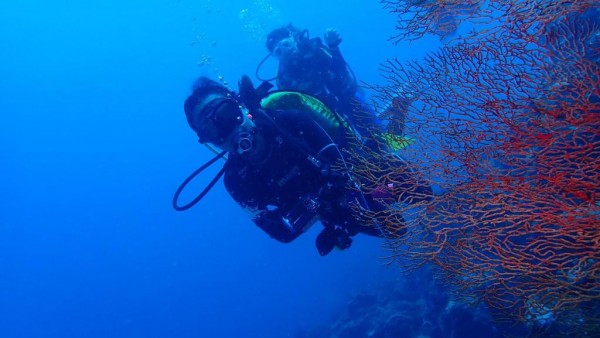 潛水課程 | NAUI 國際開放水域潛水牌