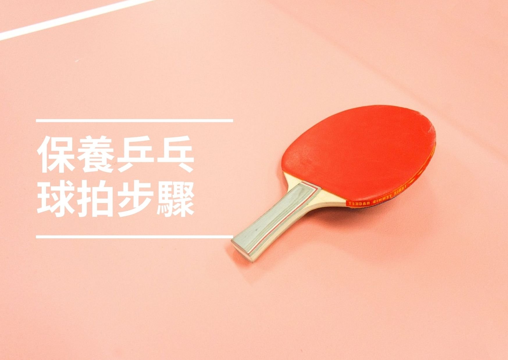 正確保養乒乓球拍的步驟